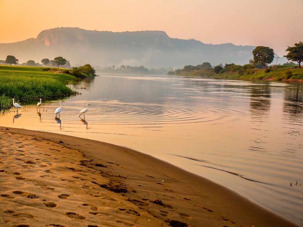 The Panchganga river at dawn near Kolhapur with mist and egrets